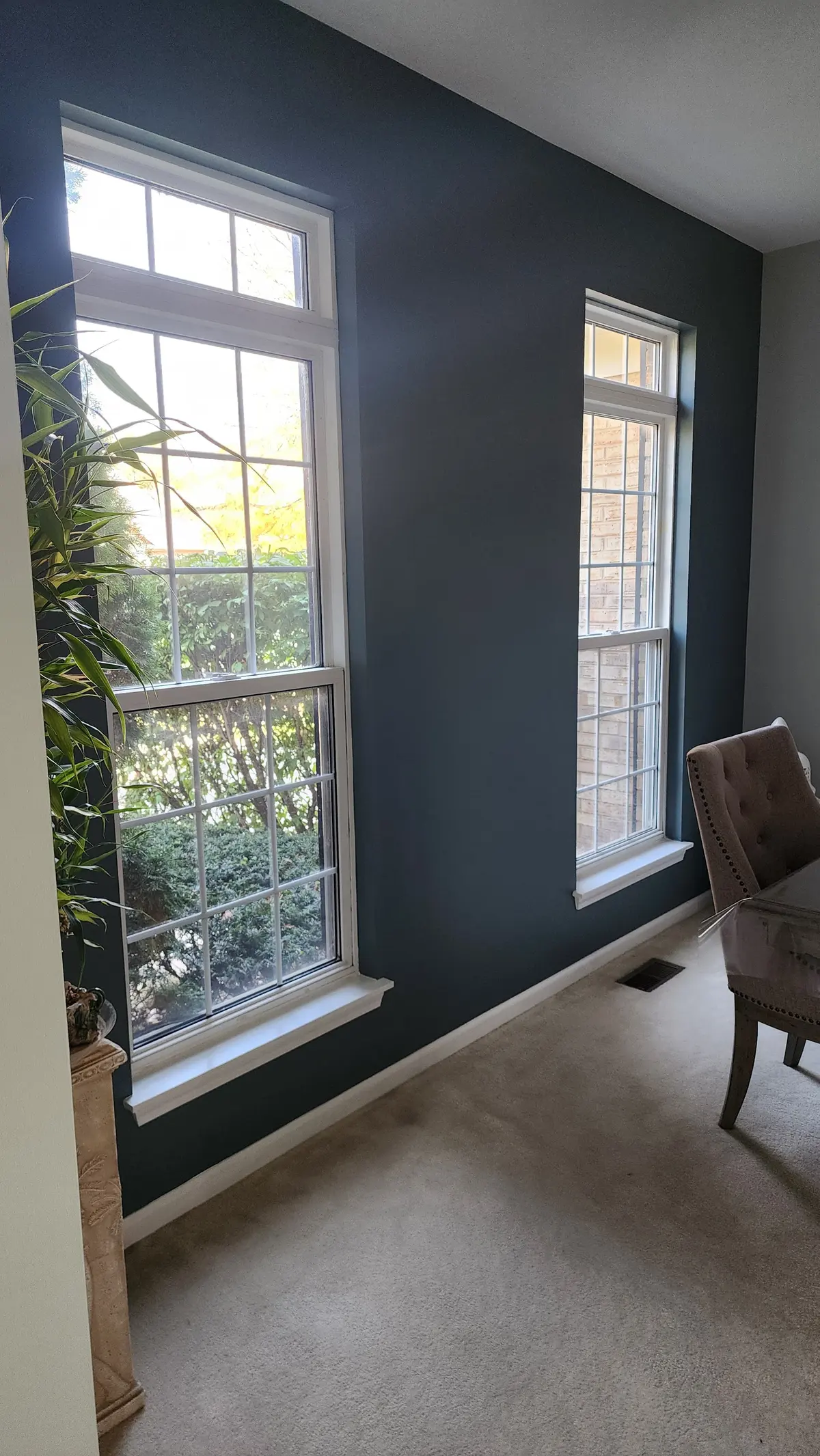 Dark teal accent wall beside tall windows in a dining area